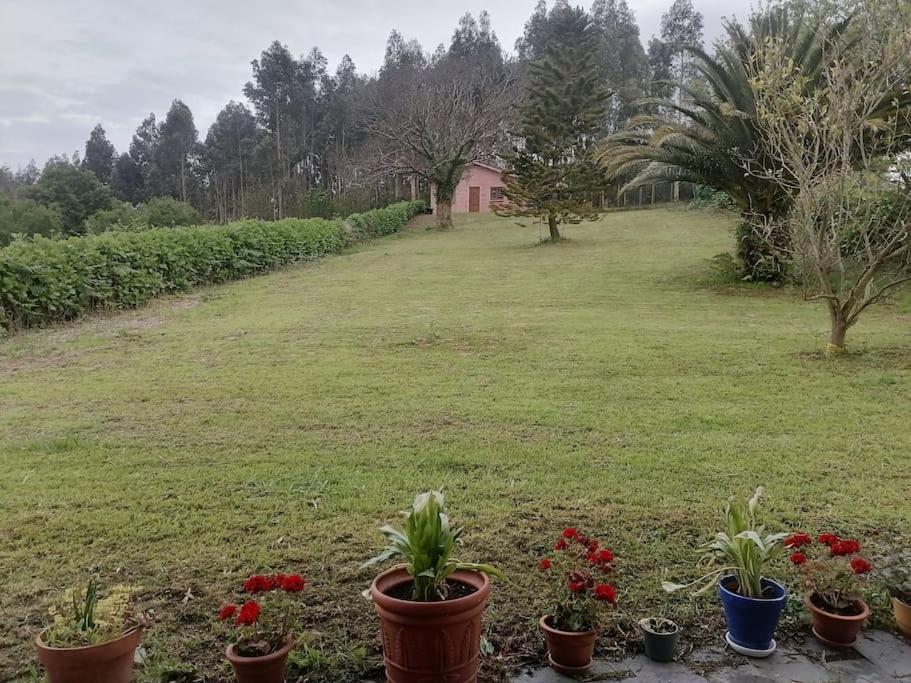 La Casa Azul De Lua Un Lugar Magico Villa Juncedo Buitenkant foto