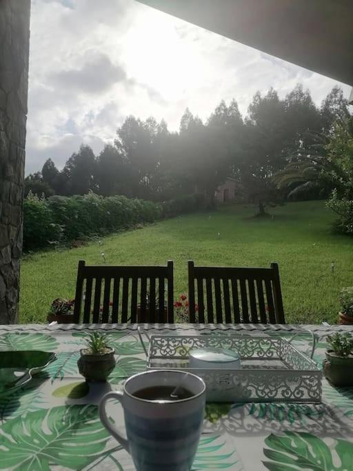 La Casa Azul De Lua Un Lugar Magico Villa Juncedo Buitenkant foto